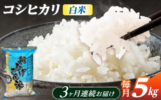 【3回定期便】コシヒカリ 白米 5kg×3ヵ月 愛西市 / 脇野コンバイン [AECP024]