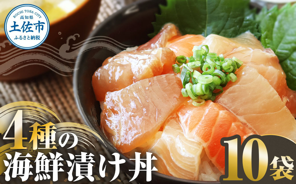 
                  四種の海鮮漬け丼 10袋セット 110ｇ 110グラム　漬け丼 お茶漬け 醤油 真鯛 タイ かんぱち カンパチ キハダマグロ マグロ サーモン おつまみ 惣菜 魚 魚介類【企業組合　宇佐もん工房】 [BQAB061]
                