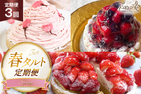 いちご ケーキ 春 タルト 3種 1ホール 14cm 3回 定期便 総計3ホール [心優-Cotoyu Sweets- 長崎県 平戸市 hr42bjo490152]