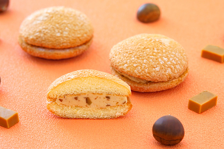 ＼期間限定／花月堂【人気2種類セット 12個入り】盛岡キャラメルマロンブッセ 6個入り & 八幡平の樹氷チョコマロン 6個入り (AQ058-2)