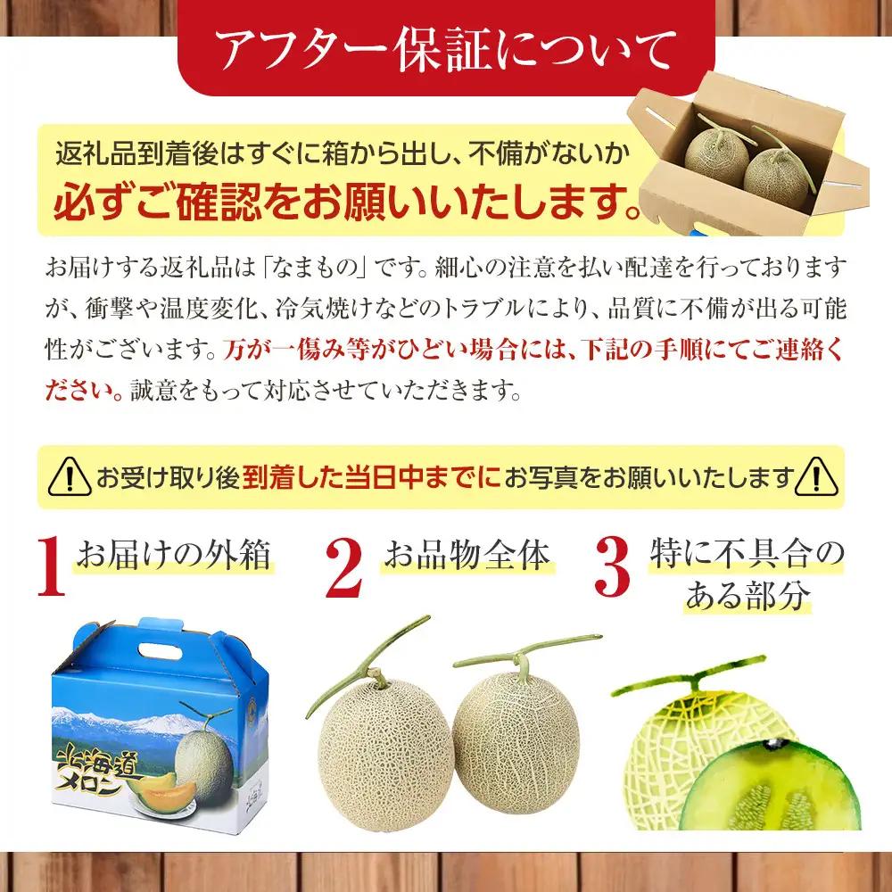 【先行予約】 北海道産青肉メロン1.3kg×1玉 (2026年7月中旬から発送)  | メロン_05289
