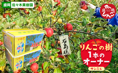 りんご オーナー 定期便 2ヶ月 りんごの樹 サンふじ 1本のオーナー 収穫したりんご約15kgを2回発送 佐々木果樹園 乙部角屋 フルーツ 果物 産地直送 旬 先行予約 先行 予約  岩手 定期 2回