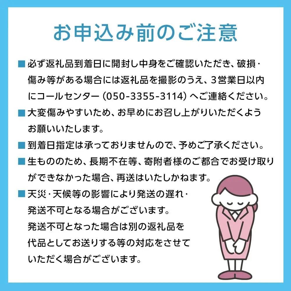 2027年 先行予約 清水 白桃 大玉  約2.2kg 6～7玉（クール便）岡山県産 白桃