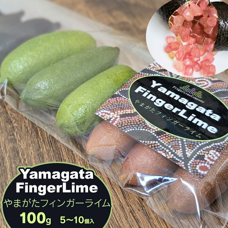 【ふるさと納税】【令和7年産先行予約】フィンガーライム 100g（5～10個入） 柑橘類 フルーツ 果物　アインテック株式会社 やまがた 山形県鶴岡市
