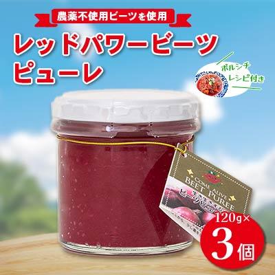 ふるさと納税 飯田市 レッドパワービーツピューレ　120g×3個