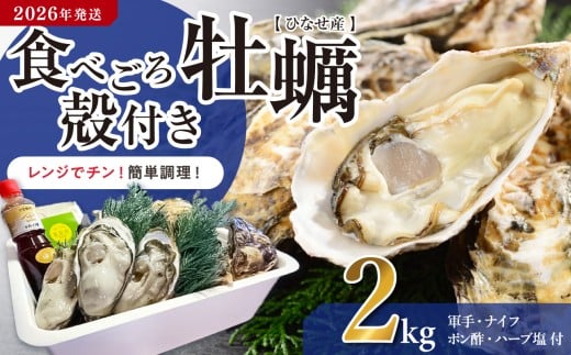 【2026年発送】ひなせ産　牡蠣　【レンジでチン】食べごろ殻付き牡蠣
