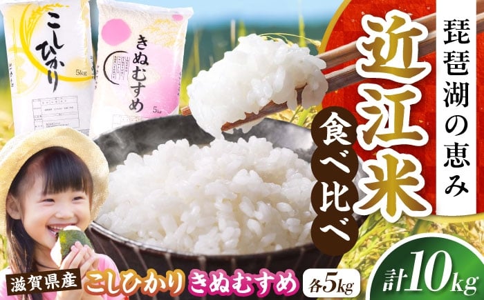 
            【令和7年産新米】コシヒカリ・きぬむすめ白米食べ比べセット 滋賀県長浜市/株式会社コメック [AQDH007] 米 お米 白米 10kg キヌムスメ こしひかり 滋賀県産 長浜市産 こめ 精米 お米 新米 食品 国産 米ギフト ブランド米 食卓 冷めても美味しい 人気 お弁当 和食 ご飯のお供 もっちり もちもち 上品な 甘み あっさり カレー 丼 卵料理
          