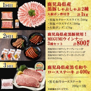 【定期便・全6回】鹿児島県産黒豚・黒毛和牛満喫コース！ 総量4.5kg超!  牛肉 豚肉 鹿児島県産 九州産 国産 黒毛和牛 ステーキ すきやき しゃぶしゃぶ 焼肉 BBQ ウインナー ソーセージ ハ