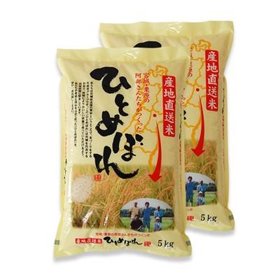 ふるさと納税 栗原市 宮城・栗原の阿部さんたちがつくったひとめぼれ 10kg(5kg×2袋) | 