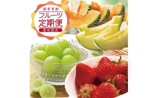 【3回定期便】農家直送 おすすめのフルーツ定期便2026 (いちご、庄内メロン、青ぶどう) SE0466