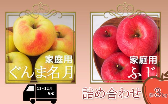 りんご 【11～12月発送】【訳あり】家庭用 ぐんま名月 ＆ サンふじ 詰め合わせ 約3kg 糖度13度以上（糖度証明書付）【 弘前市産 青森りんご 】