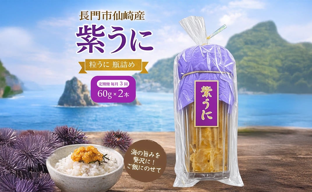 
                  【定期便】瓶詰めウニ 天然 ムラサキウニ 最高級 1回2本セット 毎月発送 全3回 60g×6本 合計360g 長門市
                