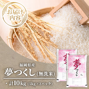 ≪令和7年産≫【無洗米】【食味鑑定士厳選】福岡県産 夢つくし(計10kg・5kg×2袋) 白米 無洗米 米 お米 おこめ ごはん ゆめつくし ご飯 常温 福岡県産 ブランド米 常温 常温保存 【ファイ