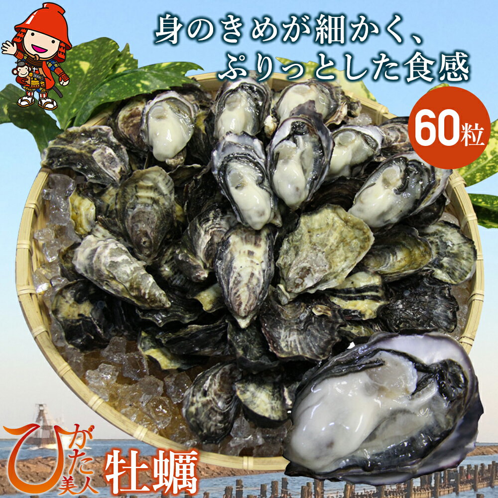【ふるさと納税】【先行予約】ひがた美人 (牡蠣 60粒) 堪能セット | 【冷蔵便】 養殖 冷蔵 かき オイスター 酒の肴 つまみ おかず 大分県産 九州産 中津市 国産 送料無料【発送は令和7年12月～令和8年4月末までの予定】