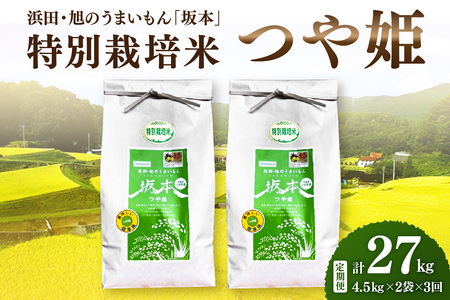 【定期便】【令和6年産】浜田・旭のうまいもん「坂本」特別栽培米つや姫 4.5kg×2袋×3回 米 お米 つや姫 特別栽培米 定期 定期便 3回 精米 白米 ごはん 【1032】