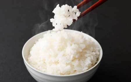【令和7年産】はるかおり 精米 10kg 【2025年10月上旬発送開始】 ／ ふるさと納税限定 ふるさと納税限定品 お米 米 白米 食品 ご飯 飯 九州 福岡県 香春町