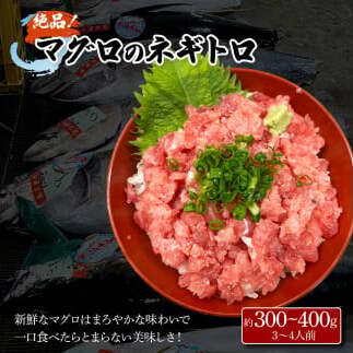 土佐の魚とお酒のおきゃくセット C（ネギトロコース）マグロのネギトロ 約380～400g 3～4人前 まぐろ 鮪 ねぎとろ 魚介 海鮮 純米吟醸生原酒 CEL-24 720ml×2本 日本酒 お酒_イ