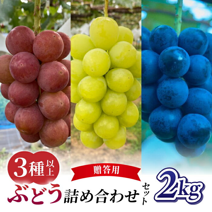 【ふるさと納税】先行受付2026年発送【おぎはら園】農家直送！贈答用ぶどう詰め合わせセット 2kg（3種以上、4〜7房）（シャインマスカット、種なし巨峰、ナガノパープル 、クイーンニーナ、クイーンルージュ(R)）　※2026年9月中旬～10月上旬順次発送