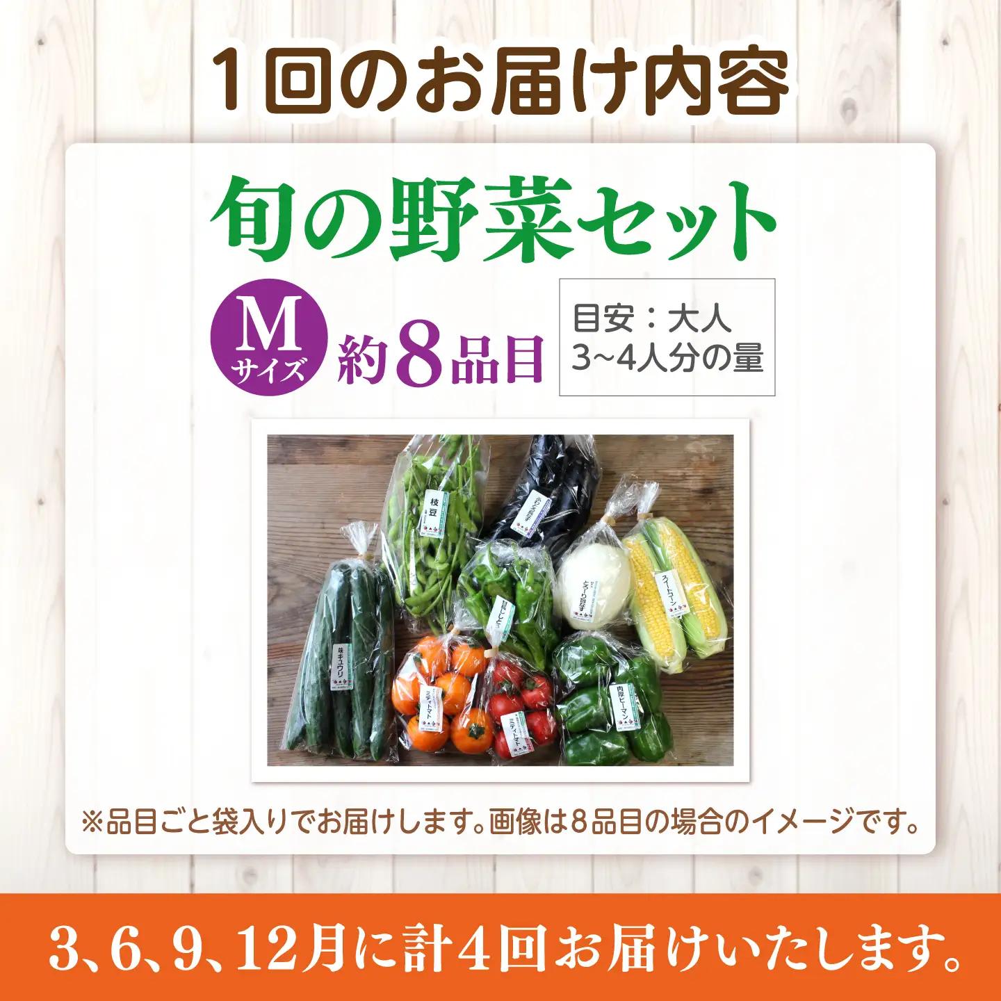 【全4回定期便】旬の野菜セットMサイズ 島根県松江市/須山農園[ALBD008]栽培期間中 農薬不使用  野菜 セット