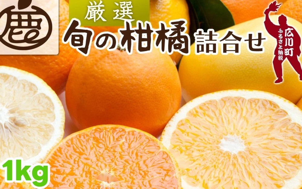 
            柑橘 詰合せ 1kg+250g（痛み補償分） 厳選 光センサー / 高級 みかん 不知火 清見 八朔 伊予間 セミノール レモン ３種類以上 詰め合わせ 晩柑 ※1月上旬～6月上旬頃に順次発送 ※北海道・沖縄・離島への配送不可 【ikd049-p-1A】
          