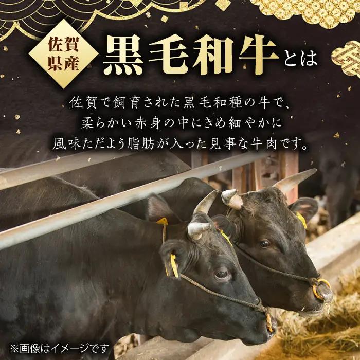 佐賀産和牛 サーロインステーキ 400g / ステーキ [IAG020]