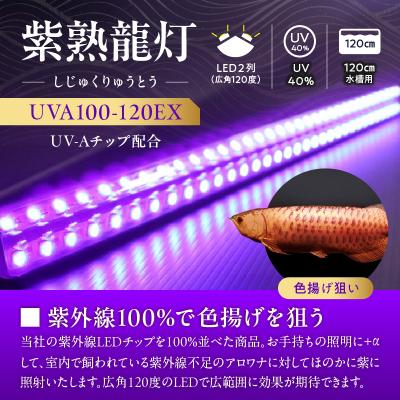 ふるさと納税 小牧市 紫外線100%LEDで紅龍・金龍の色彩を引出す水中ライト|UVA100-120EX[172C22] |  | 01