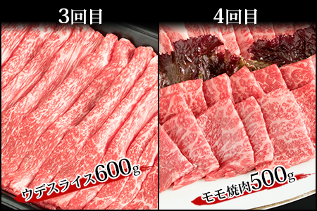【定期便 6回】受賞歴多数!! 宮崎牛を6ヶ月で合計3.25キロ 宮崎牛づくし