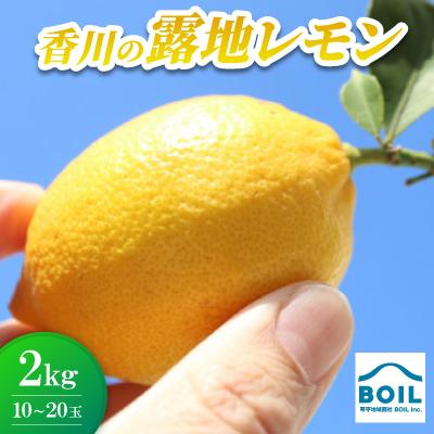 ふるさと納税 香川県 露地レモン　約2kg(10〜20玉)