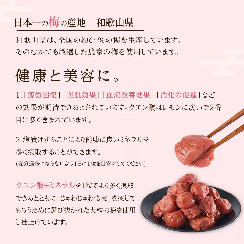 無選別 和歌山の完熟南高梅 味が染み込んだ梅干し しそ味 500g 塩分10％ [定期便 毎月発送・全6回]