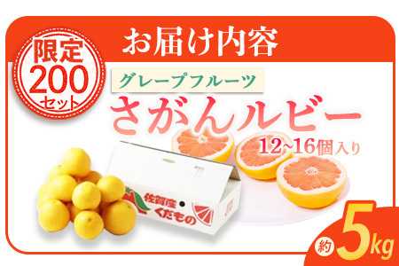 【数量限定・リピーター続出】グレープフルーツ「さがんルビー」 約５ｋｇ 防腐剤不使用 希少 国産グレープフルーツ B-2