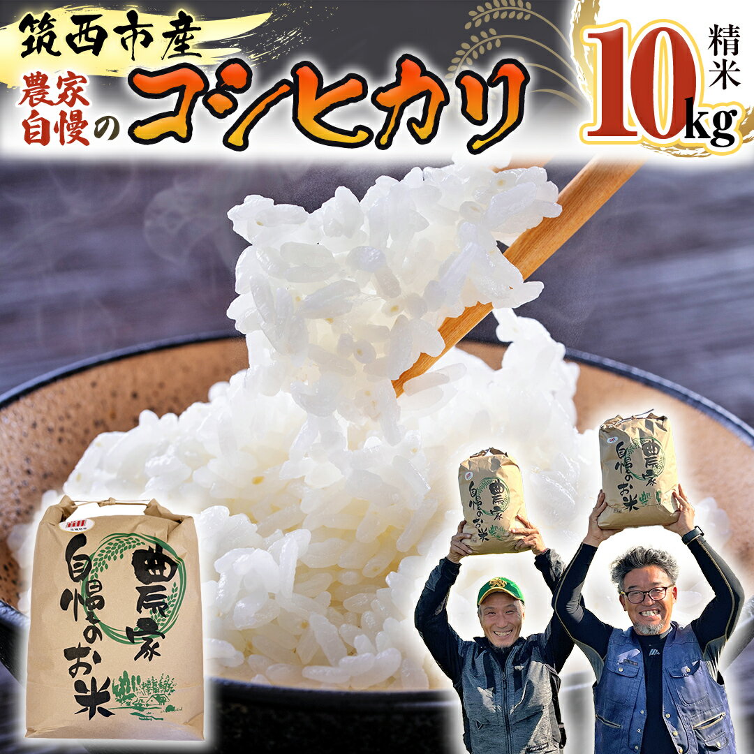 【ふるさと納税】 茨城県 筑西市産 コシヒカリ 精白米 10kg 令和6年産 単一原料米 精米 米 お米 コメ 白米 こしひかり 茨城県