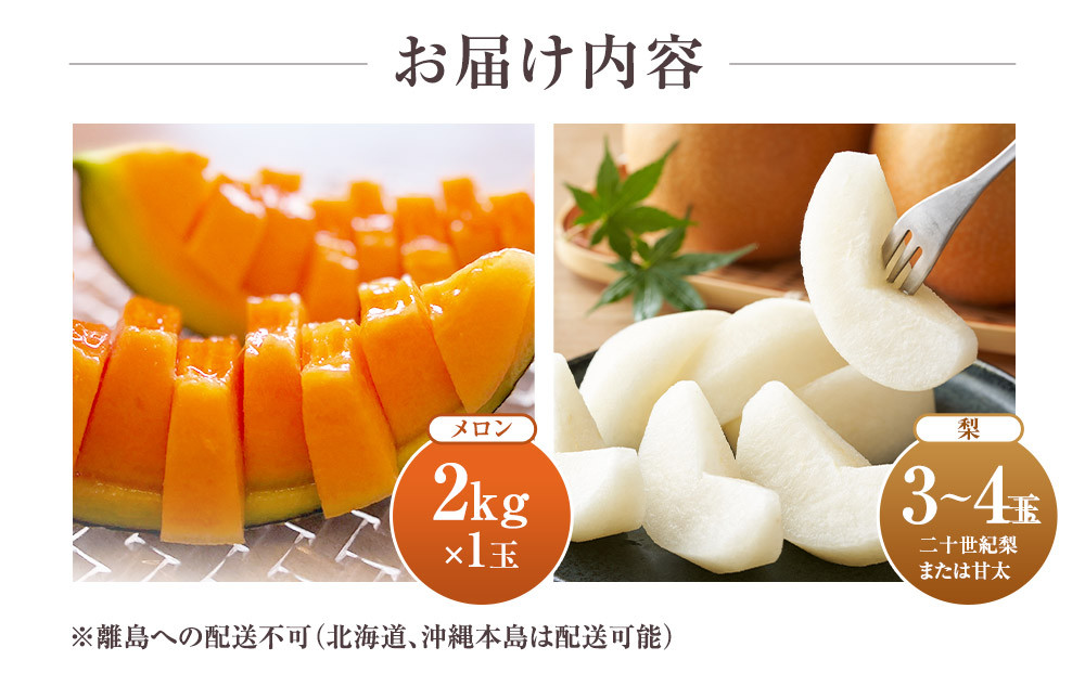 925.【ふるさと納税】【赤肉系メロン】プリモレッド (メロン) と旬の梨セット※離島への配送不可（北海道、沖縄本島は配送可能）