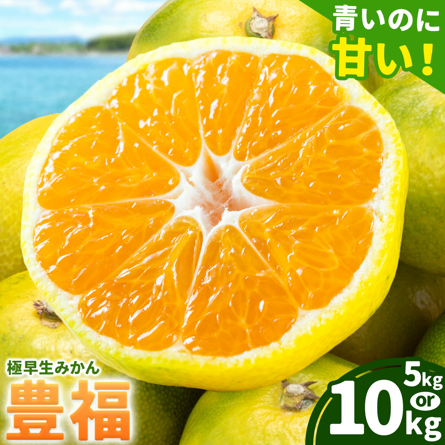 【ふるさと納税】【先行予約】 果物 フルーツ みかん 極早生みかん 豊福 選べる内容量 約5kg 約10kg 都呂々みかん生産者グループ《10月中旬-11月下旬頃出荷》 ミカン 蜜柑 柑橘 生産者直送 産地直送 天草 苓北 送料無料 熊本県【配送不可地域あり】
