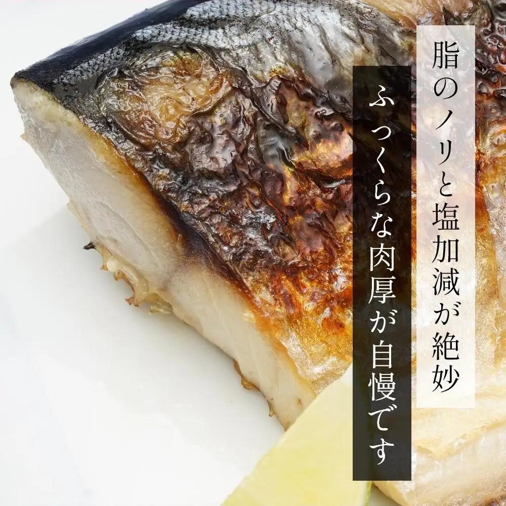 鯖フィレ 塩さばフィレ８枚入(真空パック入)　冷凍 さば