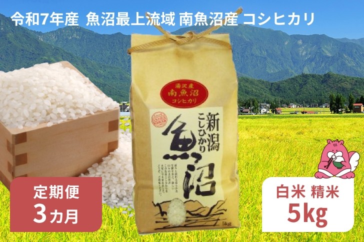 
            令和7年産 5kg 【3か月定期便】〈白米〉 魚沼最上流域 南魚沼産 コシヒカリ 精米したてのお米をお届け 【湯沢産 コシヒカリ】
          