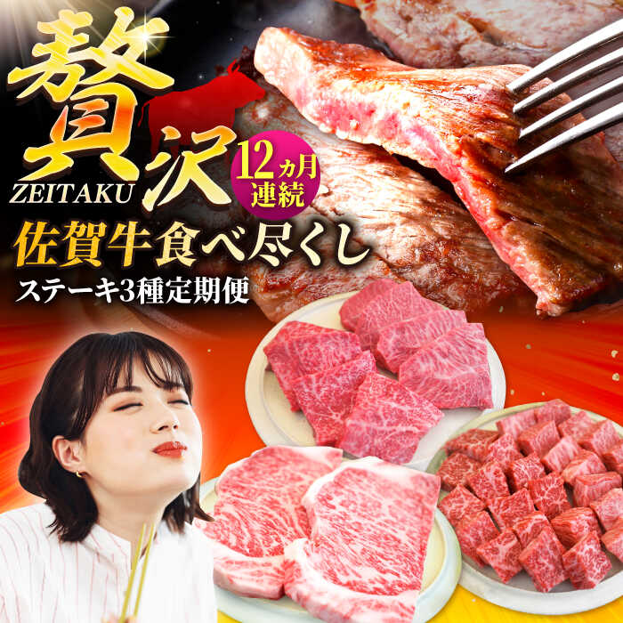 【ふるさと納税】【牧場直送】【12回定期便】佐賀牛 贅沢 ステーキ食べ尽くし【佐賀セントラル牧場】A4 A5 黒毛和牛 肉 お肉 牛肉 冷凍 佐賀県 白石町 [IAH082]
