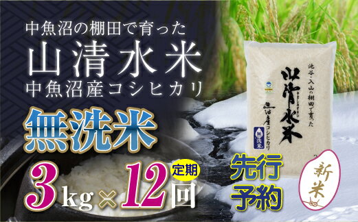【ふるさと納税】【定期便／全12回】無洗米3kg　新潟県魚沼産コシヒカリ「山清水米」十日町市 米　お届け：寄附入金確認後、順次発送します。