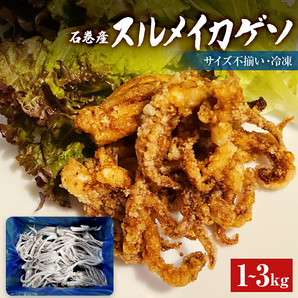 【ふるさと納税】石巻市産スルメイカゲソ1-3kg 冷凍 国産 スルメイカ いか 下足 イカ イカゲソ おつまみ 魚介類 焼イカ バーベキュー BBQ 烏賊 炒め物 フライ ゲソ天 唐揚げ