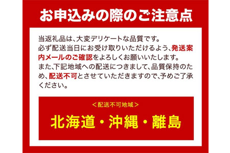 ぶどう [2024年先行予約] シャインマスカット 晴王 2房 1.25kg 岡山県産《9月上旬-11月中旬頃出荷(土日祝除く)》 ハレノフルーツ マスカット 送料無料 岡山県 浅口市 フルーツ 果物 贈り物 ギフト 国産 岡山県産 くだもの 青果物 【配送不可地域あり】---124_c414_9j11c_23_35000_1250g---