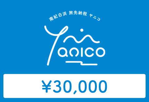 【ANAの旅先納税】電子商品券「Yanico」（30,000円分）