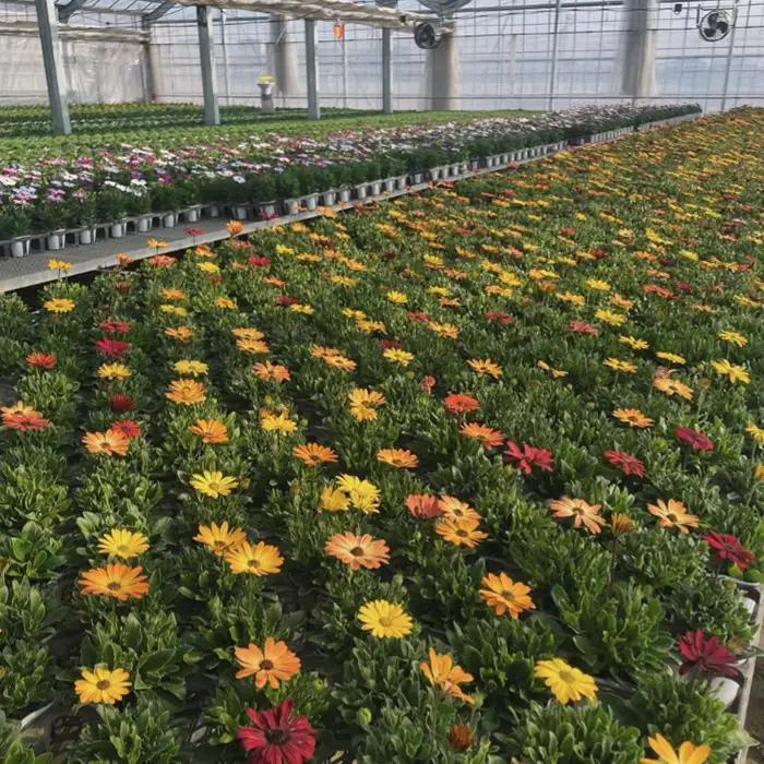 【季節の寄植えリース】ウォームセレクト＊花工房すなが＊ No.147
