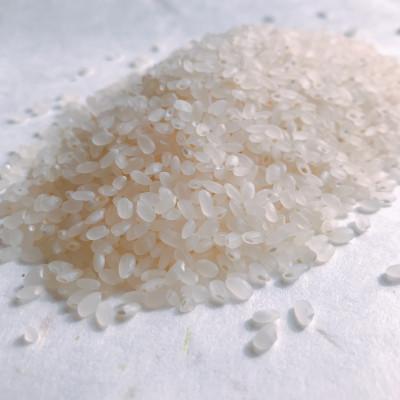 ふるさと納税 新庄市 至福のはえぬき(精米)3kg