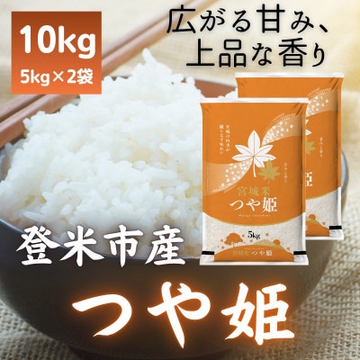 【毎月定期便】宮城県登米市産 つや姫(精米) 5kg×2袋セット全2回【4085922】