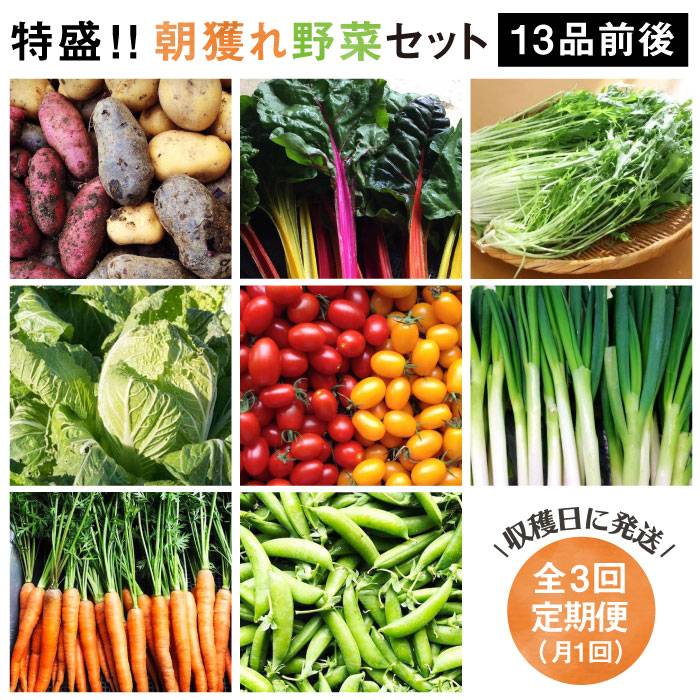 【ふるさと納税】【全3回定期便】☆畑直送☆ 福岡県糸島産 朝採れ野菜セット（13品前後）オーガニックナガミツファーム [AGE024] 47000円