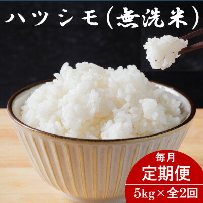 【ふるさと納税】【毎月定期便】岐阜県産ハツシモ(無洗米) 5kg全2回【配送不可地域：離島】【4076366】