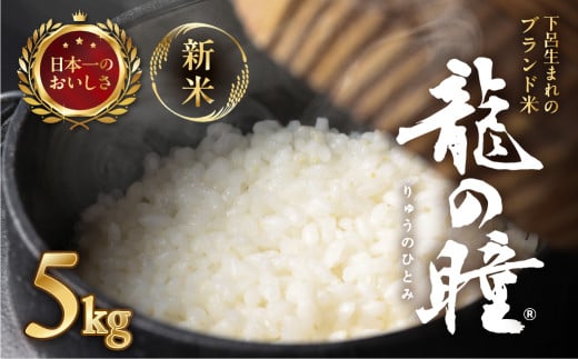 新米予約受付【2025年産米】（2026年2月発送）5kg×1袋 飛騨産・龍の瞳(いのちの壱) 株式会社龍の瞳直送 米 5キロ 令和7年産 精米 ブランド米 りゅうのひとみ 龍の瞳 下呂市 下呂温泉 竜の瞳 下呂
