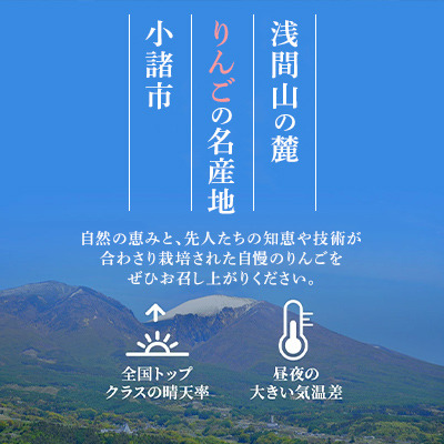 信州小諸産 サンふじ りんご 家庭用 小玉 約10kg 長野県産 果物類 林檎 リンゴ