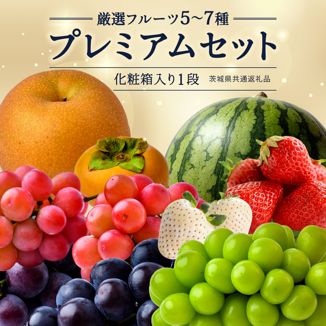 【化粧箱入り1段】厳選フルーツ 5〜7種プレミアムセット（