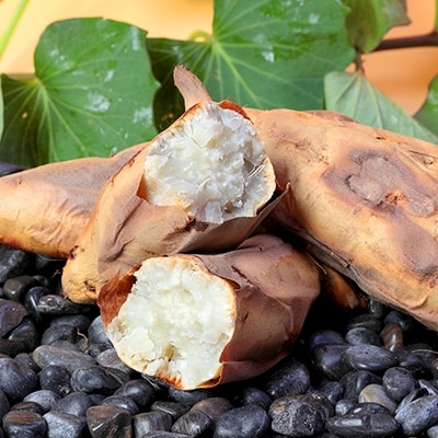 鹿児島さつまいも 【ホワイトスイート】6kg　2025年10月上旬より発送 A8-93【配送不可地域：離島】