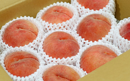 【2025年発送】フルーツ王国　長野県信州直送「旬な桃」　あかつき　約2kg(4～8玉)【配送不可地域：離島】【1577361】